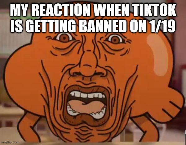 tiktok ban reaction | MY REACTION WHEN TIKTOK IS GETTING BANNED ON 1/19 | image tagged in gumball darwin upset,tiktok,memes | made w/ Imgflip meme maker