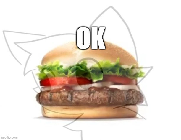 burger | OK | image tagged in funny | made w/ Imgflip meme maker