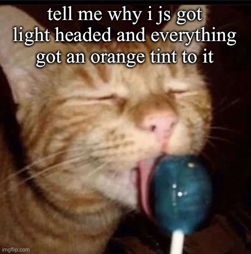 silly goober 2 | tell me why i js got light headed and everything got an orange tint to it | image tagged in silly goober 2 | made w/ Imgflip meme maker