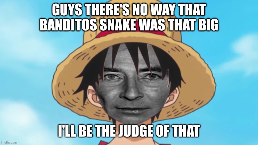 hmu I'll give my honest opinion | GUYS THERE'S NO WAY THAT BANDITOS SNAKE WAS THAT BIG; I'LL BE THE JUDGE OF THAT | image tagged in nah | made w/ Imgflip meme maker