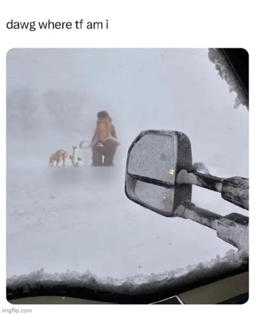 Snowy | image tagged in dawg,snowy,snow,memes,repost,reposts | made w/ Imgflip meme maker