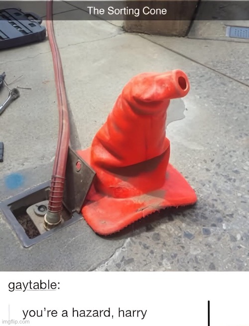 harry | image tagged in harry potter,harry potter sorting hat,hazard | made w/ Imgflip meme maker