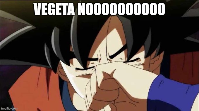 goku crying | VEGETA NOOOOOOOOOO | image tagged in goku crying | made w/ Imgflip meme maker