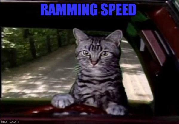 toonces | RAMMING SPEED | image tagged in toonces | made w/ Imgflip meme maker