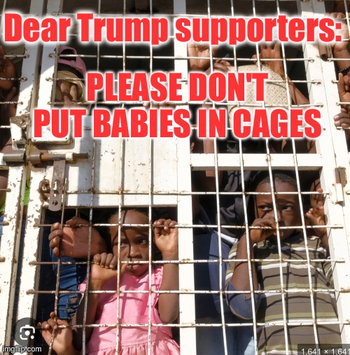 Trump supporters want to put babies in cages | Dear Trump supporters:; PLEASE DON'T PUT BABIES IN CAGES | image tagged in republicans put babies in cages | made w/ Imgflip meme maker