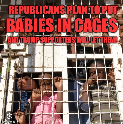 Republicans will put babies in cages | REPUBLICANS PLAN TO PUT; BABIES IN CAGES; AND TRUMP SUPPORTERS WILL LET THEM! | image tagged in republicans put babies in cages | made w/ Imgflip meme maker