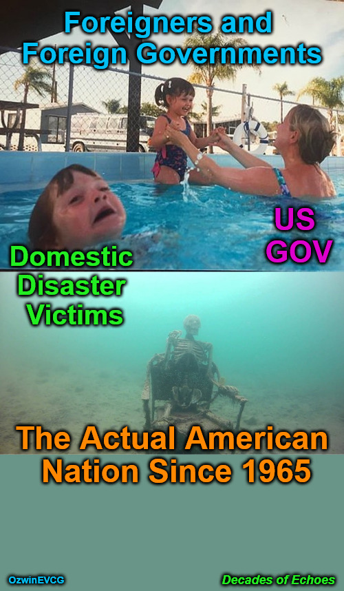 Decades of Echoes | Foreigners and 

Foreign Governments; US 

GOV; Domestic 

Disaster 

Victims; The Actual American 

Nation Since 1965; OzwinEVCG; Decades of Echoes | image tagged in mother ignoring kid drowning in a pool,government corruption,domestic policy,foreign policy,antiwhite clown world,life in 2020s | made w/ Imgflip meme maker