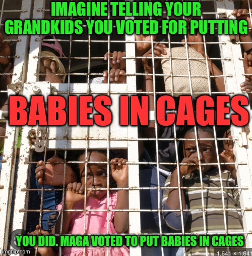 MAGA deportations Will put babies in cages | IMAGINE TELLING YOUR GRANDKIDS YOU VOTED FOR PUTTING; BABIES IN CAGES; YOU DID. MAGA VOTED TO PUT BABIES IN CAGES | image tagged in republicans put babies in cages | made w/ Imgflip meme maker