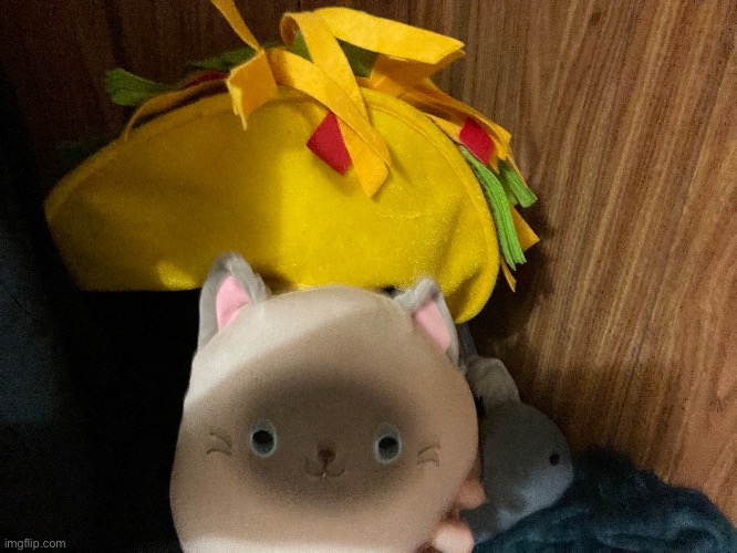 do y’all like my taco hat i’m thinking g abt putting an alien plush on it | made w/ Imgflip meme maker