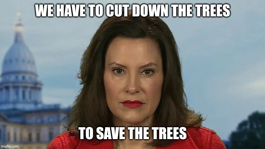 Democrat Michigan Governor Gretchen Whitmer | WE HAVE TO CUT DOWN THE TREES TO SAVE THE TREES | image tagged in democrat michigan governor gretchen whitmer | made w/ Imgflip meme maker