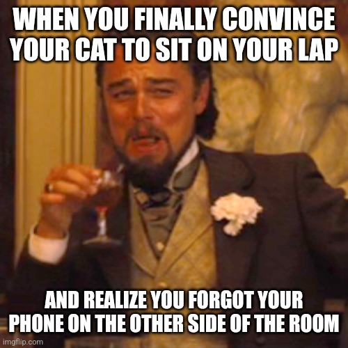 Laughing Leo | WHEN YOU FINALLY CONVINCE YOUR CAT TO SIT ON YOUR LAP; AND REALIZE YOU FORGOT YOUR PHONE ON THE OTHER SIDE OF THE ROOM | image tagged in memes,laughing leo | made w/ Imgflip meme maker