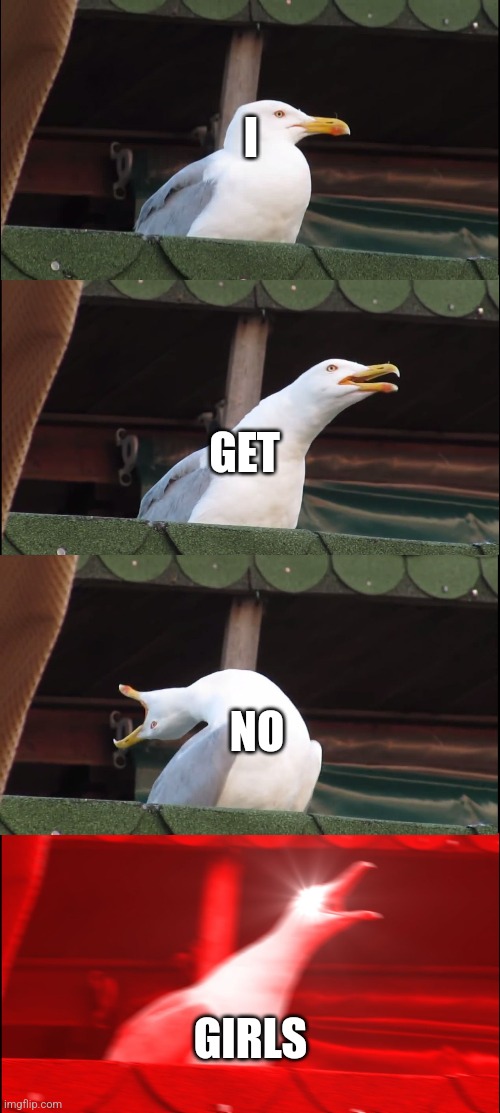 I GET NO GIRLS | image tagged in memes,inhaling seagull | made w/ Imgflip meme maker