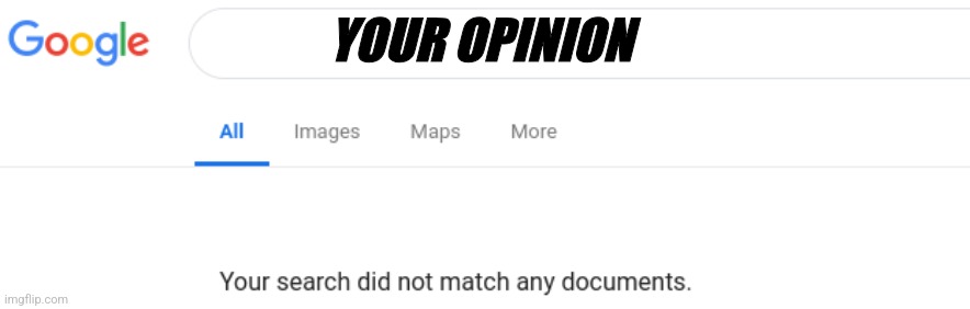 Use this if someone's opinion is not valid | YOUR OPINION | image tagged in google no results | made w/ Imgflip meme maker