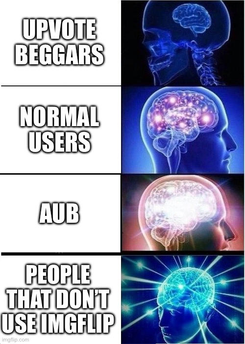 How the AUB sees people | UPVOTE BEGGARS; NORMAL USERS; AUB; PEOPLE THAT DON’T USE IMGFLIP | image tagged in memes,expanding brain | made w/ Imgflip meme maker