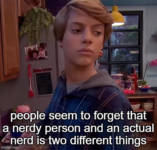 henry danger side eye | people seem to forget that a nerdy person and an actual nerd is two different things | image tagged in henry danger side eye | made w/ Imgflip meme maker