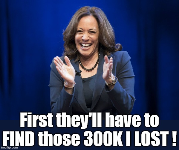 First they'll have to FIND those 300K I LOST ! | made w/ Imgflip meme maker