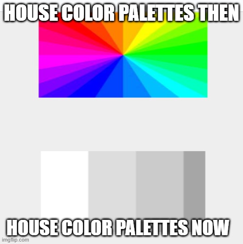 HOUSE COLOR PALETTES THEN; HOUSE COLOR PALETTES NOW | image tagged in house,color,true,relatable,real life,modern problems | made w/ Imgflip meme maker