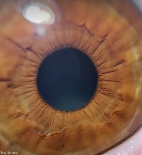 Kirkiimad Eye | made w/ Imgflip meme maker