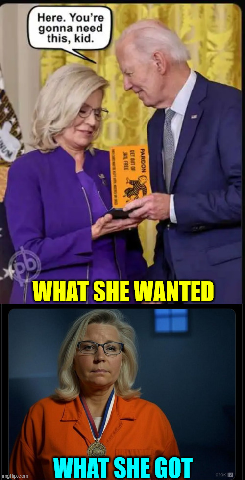 Poor Liz... always coming up short... | WHAT SHE WANTED; WHAT SHE GOT | image tagged in poor liz,always coming up short | made w/ Imgflip meme maker