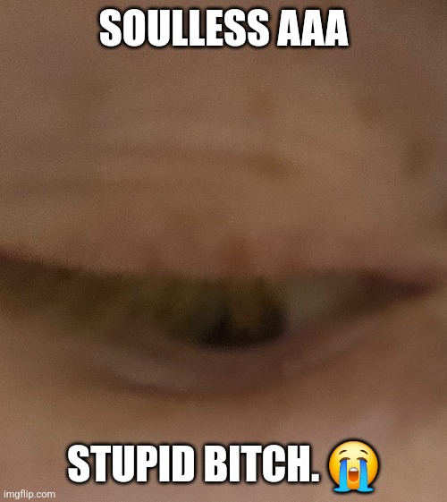 SOULLESS AAA; STUPID BITCH. 😭 | made w/ Imgflip meme maker