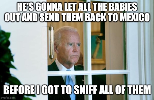 Biden window | HE'S GONNA LET ALL THE BABIES OUT AND SEND THEM BACK TO MEXICO BEFORE I GOT TO SNIFF ALL OF THEM | image tagged in biden window | made w/ Imgflip meme maker