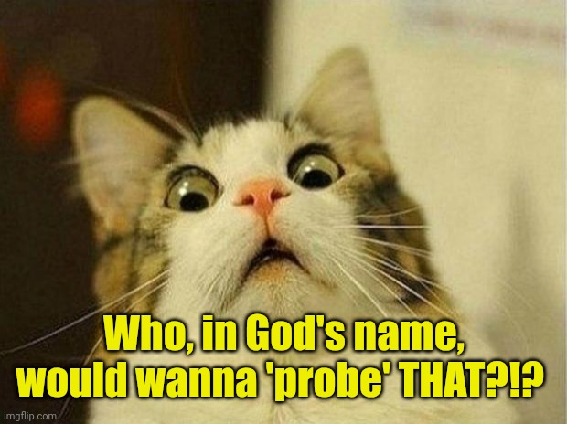 Scared Cat Meme | Who, in God's name, would wanna 'probe' THAT?!? | image tagged in memes,scared cat | made w/ Imgflip meme maker