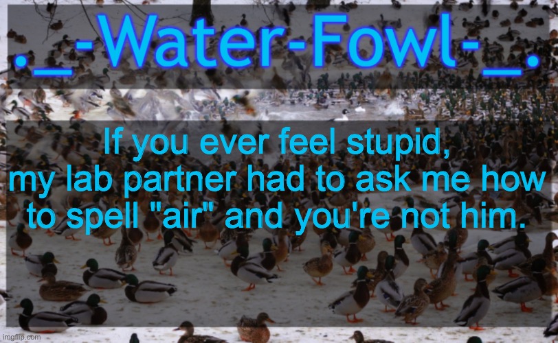 WaterFowl Announcement temp | If you ever feel stupid, my lab partner had to ask me how to spell "air" and you're not him. | image tagged in waterfowl announcement temp | made w/ Imgflip meme maker