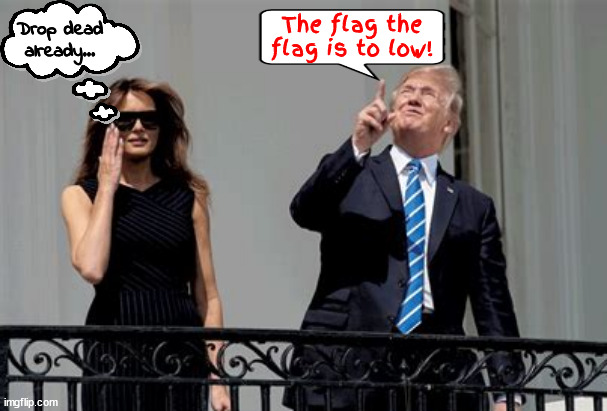 The Flag the flag! | The flag the flag is to low! Drop dead already... | image tagged in the flag the flag,trump can't get it up,jimmy carter 39th united states president,maga moron,me me me | made w/ Imgflip meme maker