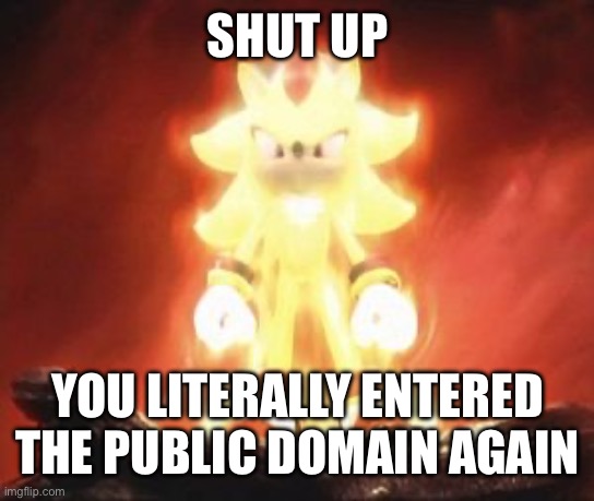 SHUT UP YOU LITERALLY ENTERED THE PUBLIC DOMAIN AGAIN | image tagged in super shadow | made w/ Imgflip meme maker