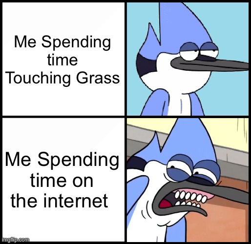 They were right | Me Spending time Touching Grass; Me Spending time on the internet | image tagged in mordecai disgusted,funny,memes,depression,touch grass,internet | made w/ Imgflip meme maker