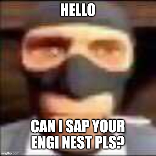 Tf2 memes pt.1 | HELLO; CAN I SAP YOUR ENGI NEST PLS? | image tagged in spi,sapper man | made w/ Imgflip meme maker