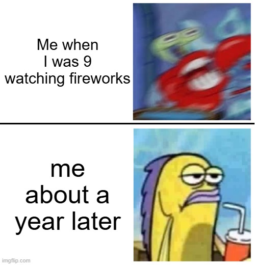 Excited vs Bored | Me when I was 9 watching fireworks; me about a year later | image tagged in excited vs bored,fireworks,happy new year,spongebob | made w/ Imgflip meme maker