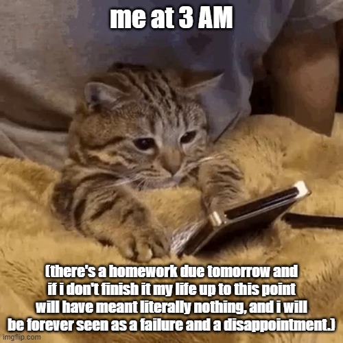 real | me at 3 AM; (there's a homework due tomorrow and if i don't finish it my life up to this point will have meant literally nothing, and i will be forever seen as a failure and a disappointment.) | image tagged in cat looks at phone sad | made w/ Imgflip meme maker