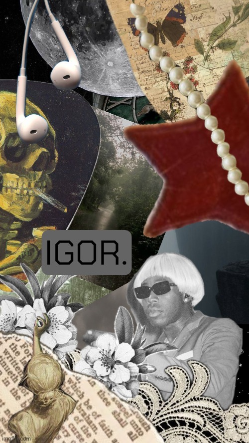 IGOR | image tagged in tyler the creator,igor | made w/ Imgflip meme maker