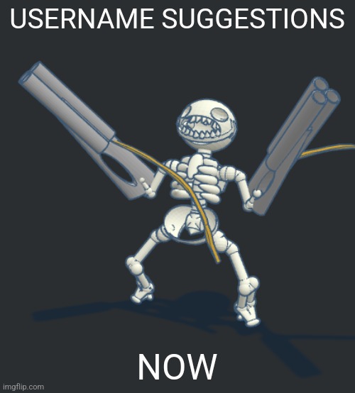 Claire skeleton with guns | USERNAME SUGGESTIONS; NOW | image tagged in claire skeleton with guns | made w/ Imgflip meme maker