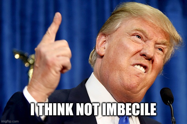 Donald Trump | I THINK NOT IMBECILE | image tagged in donald trump | made w/ Imgflip meme maker