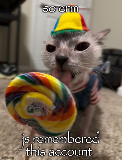 silly goober | so erm; js remembered this account | image tagged in silly goober | made w/ Imgflip meme maker