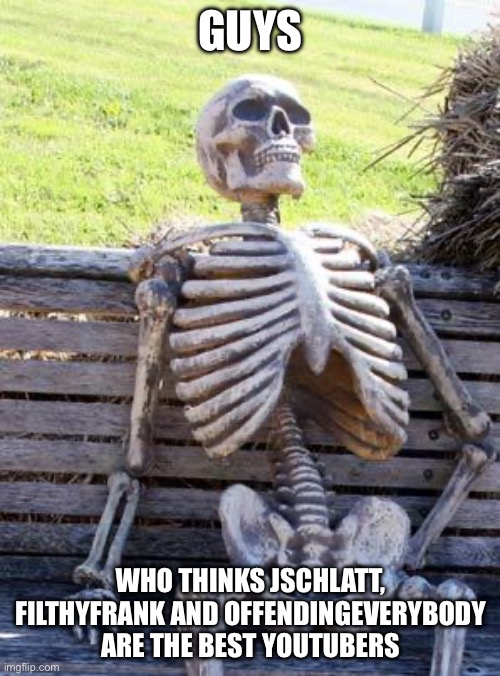 They speak their mind | GUYS; WHO THINKS JSCHLATT, FILTHYFRANK AND OFFENDINGEVERYBODY ARE THE BEST YOUTUBERS | image tagged in memes,waiting skeleton | made w/ Imgflip meme maker