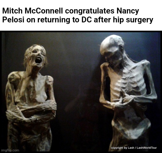 welcome back | Mitch McConnell congratulates Nancy Pelosi on returning to DC after hip surgery | image tagged in talking mummies | made w/ Imgflip meme maker