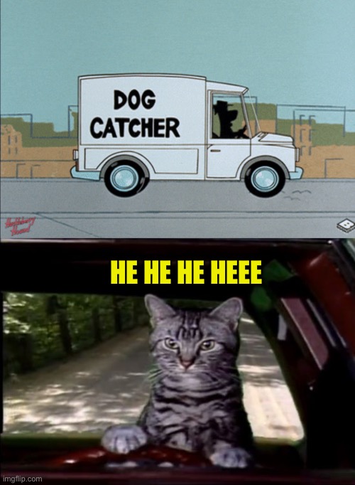 HE HE HE HEEE | image tagged in toonces | made w/ Imgflip meme maker