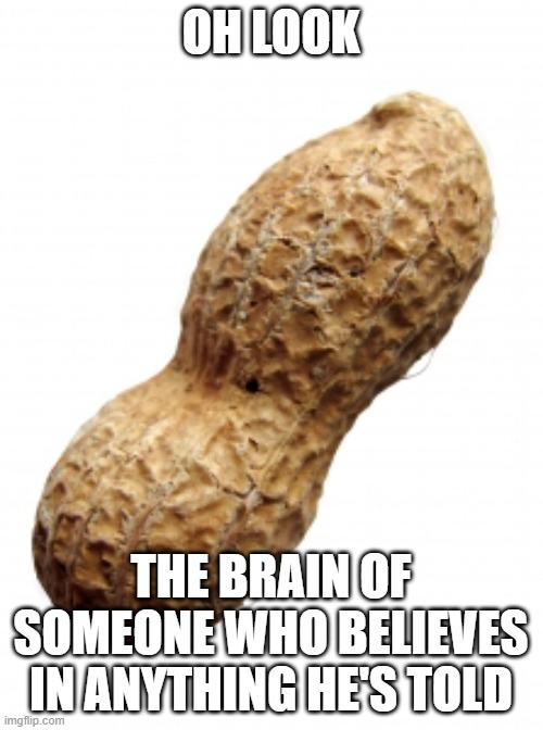 Peanut | OH LOOK THE BRAIN OF SOMEONE WHO BELIEVES IN ANYTHING HE'S TOLD | image tagged in peanut | made w/ Imgflip meme maker