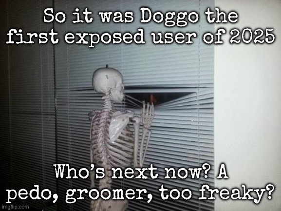 I know the Doggo drama was like two or three days ago | So it was Doggo the first exposed user of 2025; Who’s next now? A pedo, groomer, too freaky? | image tagged in skeleton looking out window,msmg,drama | made w/ Imgflip meme maker