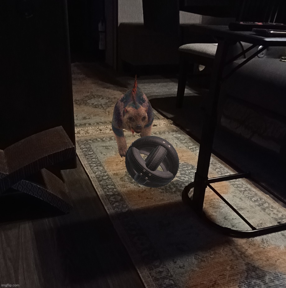 guys why does my cat look like that | made w/ Imgflip meme maker