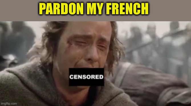 Lotr Pippin Sad Swearing Censored | PARDON MY FRENCH | image tagged in lotr pippin sad swearing censored | made w/ Imgflip meme maker