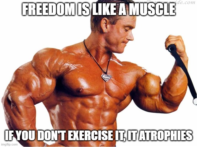 Body Builder | FREEDOM IS LIKE A MUSCLE; IF YOU DON'T EXERCISE IT, IT ATROPHIES | image tagged in body builder | made w/ Imgflip meme maker