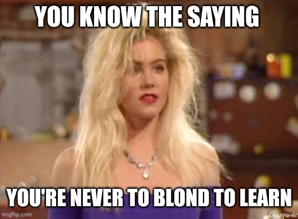 Never to Blond | YOU KNOW THE SAYING; YOU'RE NEVER TO BLOND TO LEARN | image tagged in kelly from married with children,funny memes | made w/ Imgflip meme maker