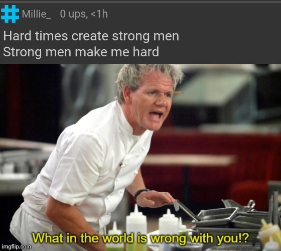 image tagged in gordan ramsay what in the world is wrong with you | made w/ Imgflip meme maker