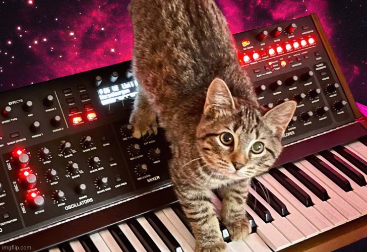 cat.jpeg | image tagged in cat,space,synthesizer,cats,outer space,kitten | made w/ Imgflip meme maker