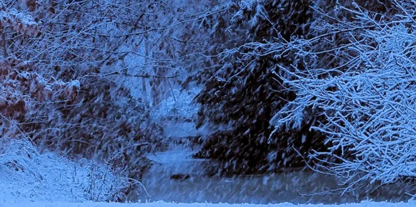 Snow. 1/2 Blank Meme Template