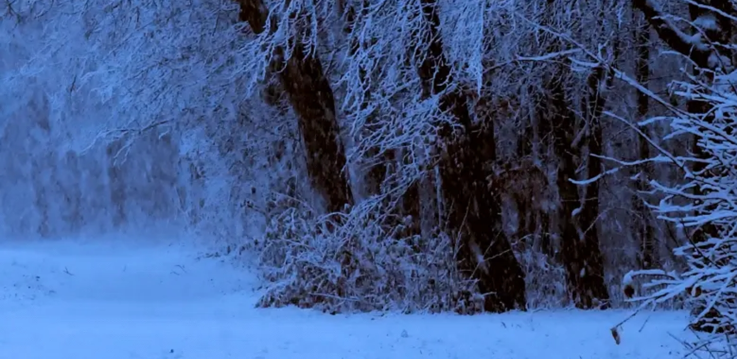 Snow. 2/2 Blank Meme Template